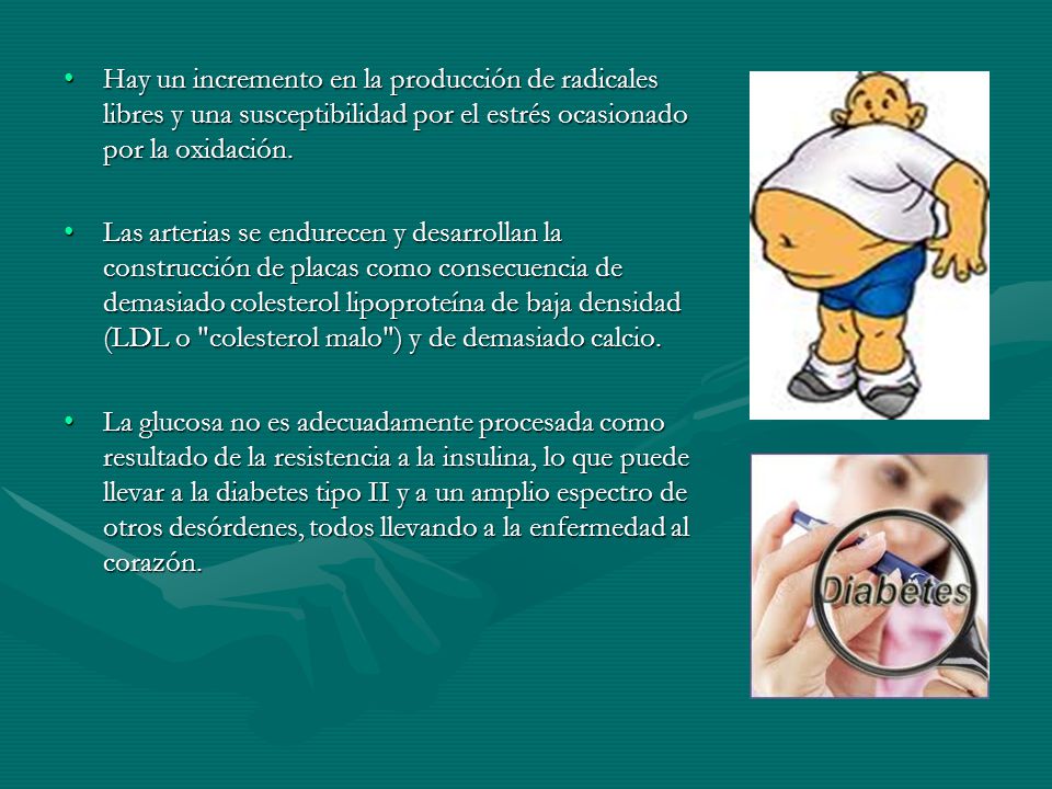 Hay un incremento en la producción de radicales libres y una susceptibilidad por el estrés ocasionado por la oxidación.