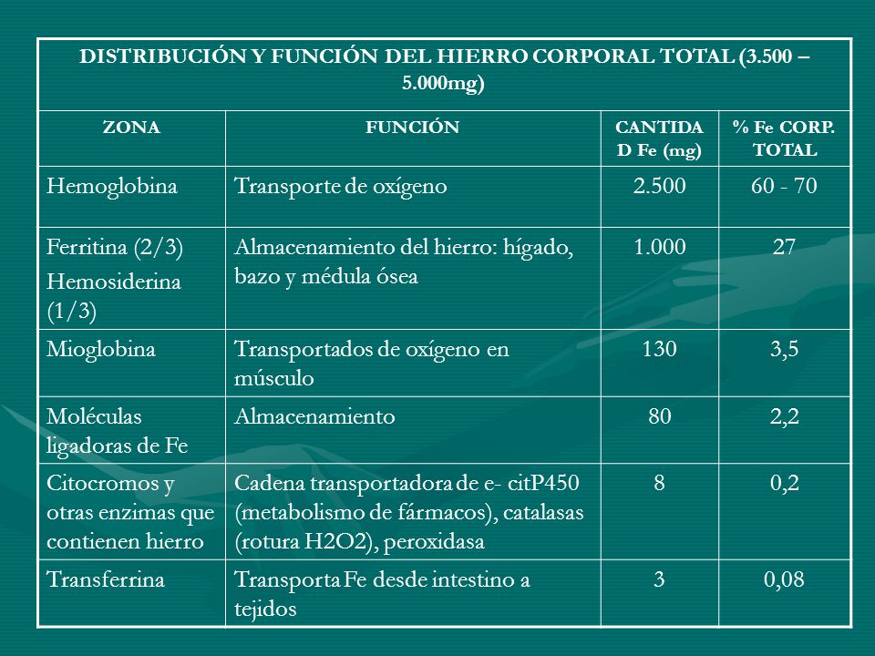 DISTRIBUCIÓN Y FUNCIÓN DEL HIERRO CORPORAL TOTAL (3.500 – 5.000mg)