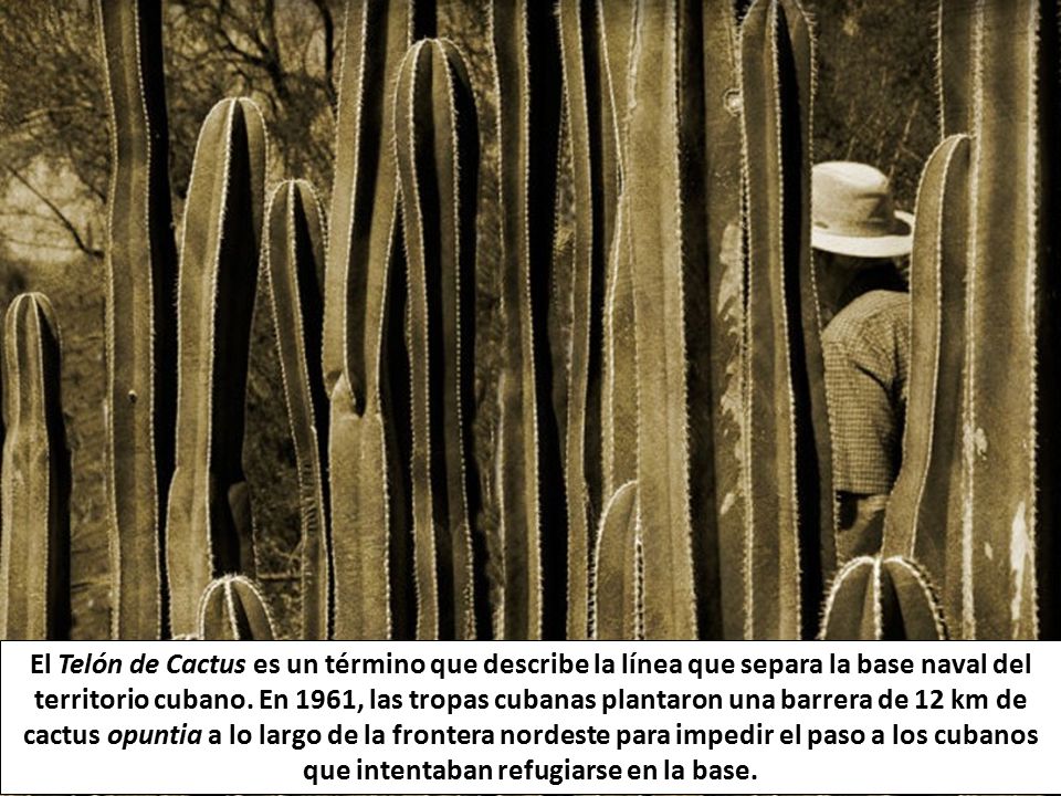 El Telón de Cactus es un término que describe la línea que separa la base naval del territorio cubano.