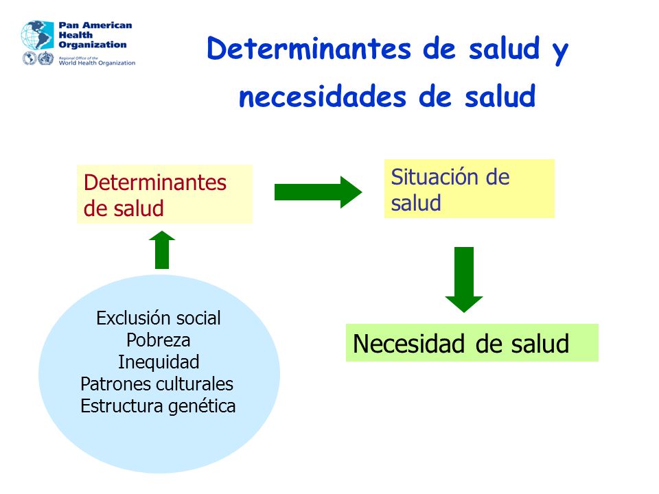 Determinantes de salud y necesidades de salud