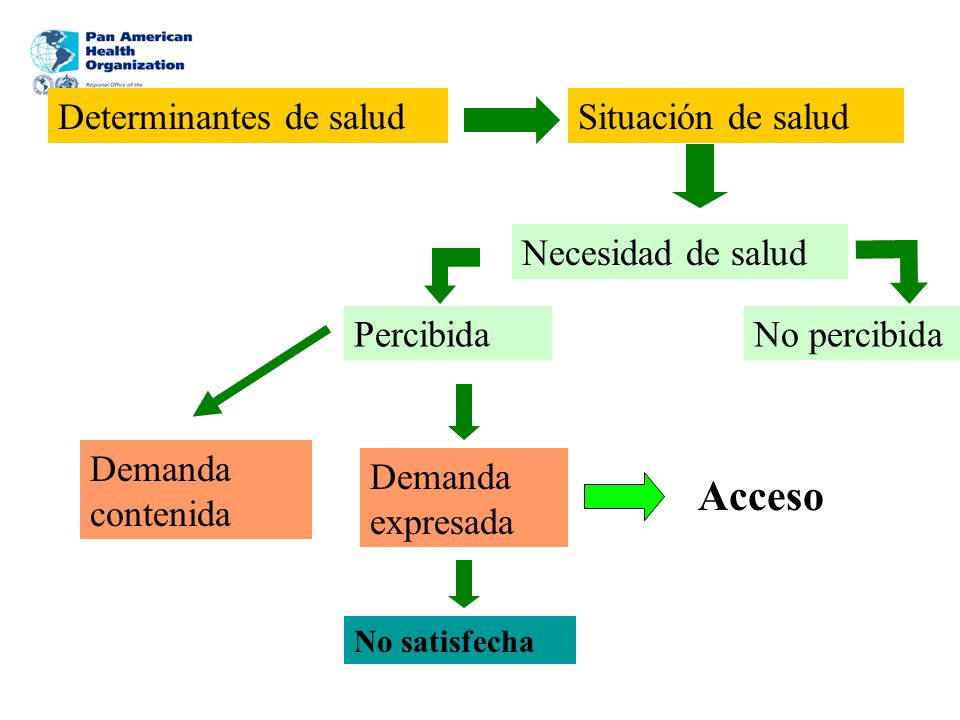 Acceso Determinantes de salud Situación de salud Necesidad de salud