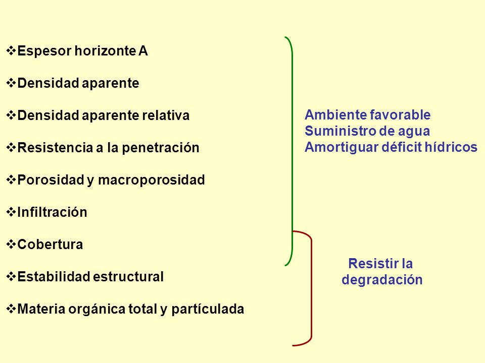 Espesor horizonte A Densidad aparente. Densidad aparente relativa. Resistencia a la penetración. Porosidad y macroporosidad.