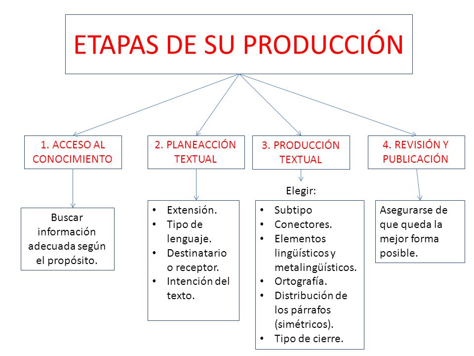ETAPAS DE SU PRODUCCIÓN