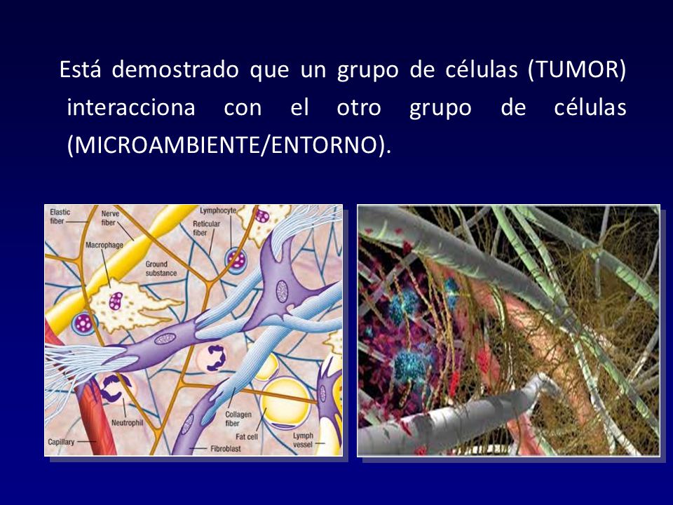 Está demostrado que un grupo de células (TUMOR) interacciona con el otro grupo de células (MICROAMBIENTE/ENTORNO).