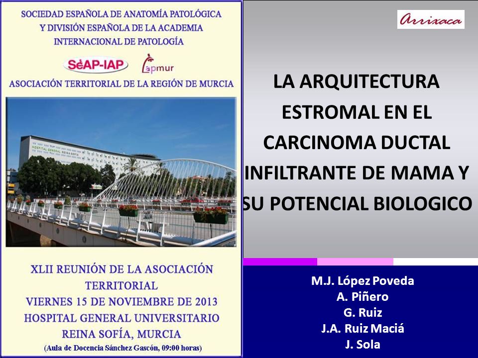 M.J. López Poveda A. Piñero G. Ruiz J.A. Ruiz Maciá J. Sola
