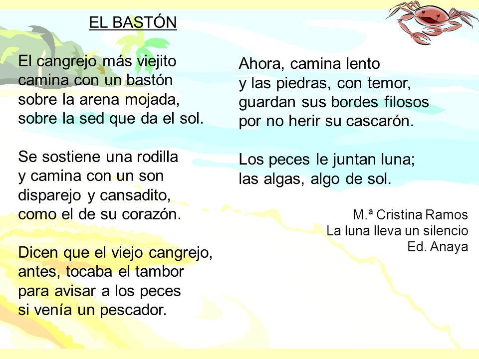 El cangrejo más viejito camina con un bastón sobre la arena mojada,