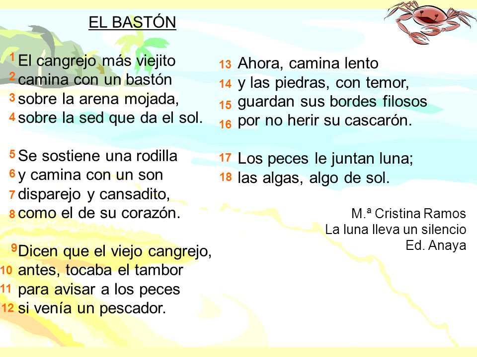 El cangrejo más viejito camina con un bastón sobre la arena mojada,