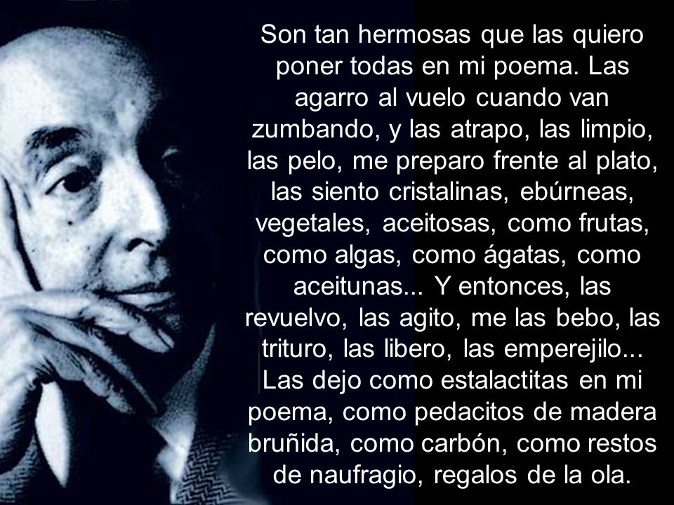 Son tan hermosas que las quiero poner todas en mi poema