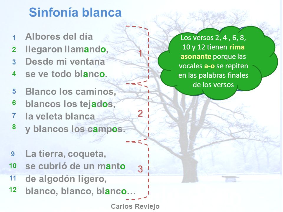 Los versos son cada una de las líneas de un poema.