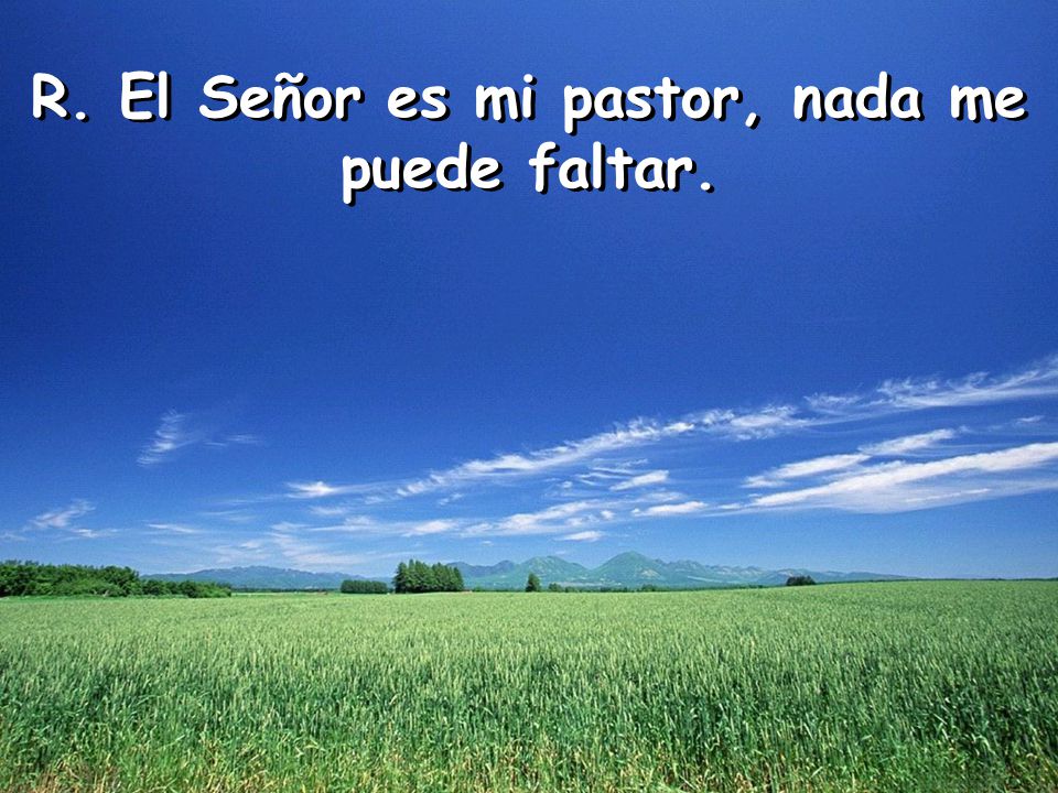 R. El Señor es mi pastor, nada me puede faltar.