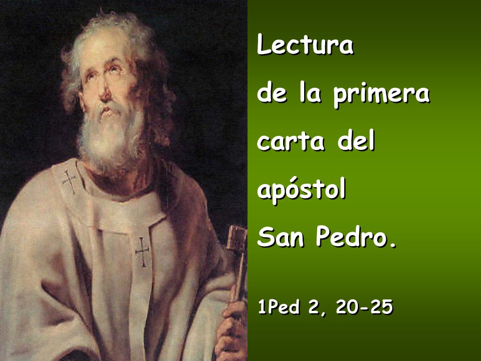 Lectura de la primera carta del apóstol San Pedro. 1Ped 2, 20-25