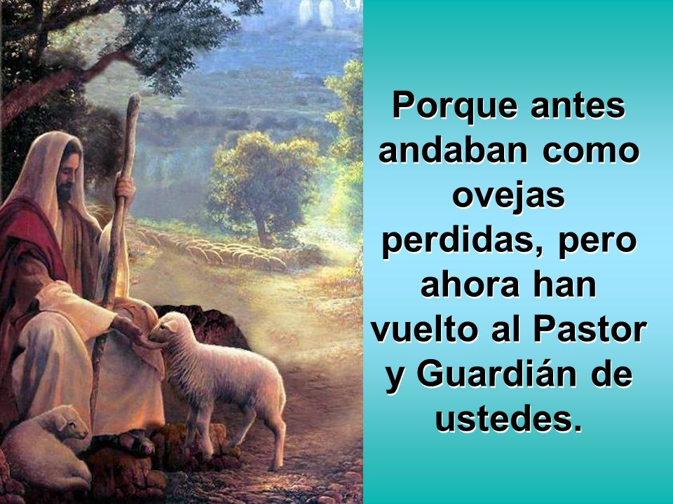Porque antes andaban como ovejas perdidas, pero ahora han vuelto al Pastor y Guardián de ustedes.