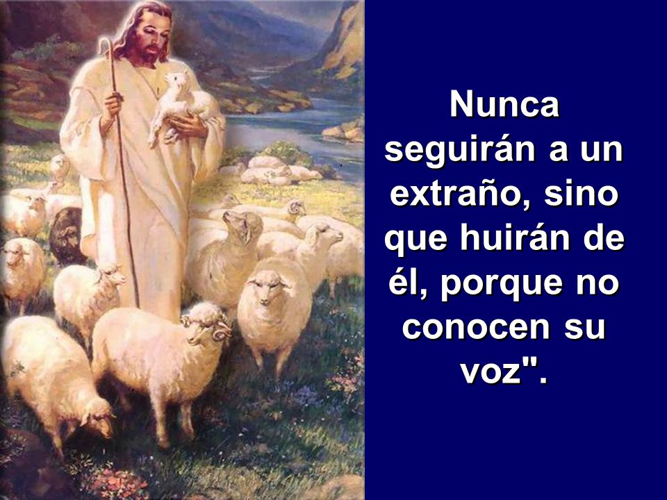 Nunca seguirán a un extraño, sino que huirán de él, porque no conocen su voz .