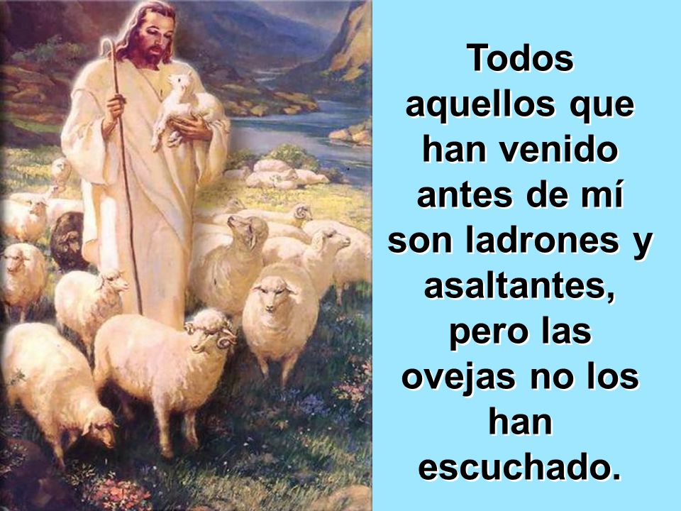 Todos aquellos que han venido antes de mí son ladrones y asaltantes, pero las ovejas no los han escuchado.