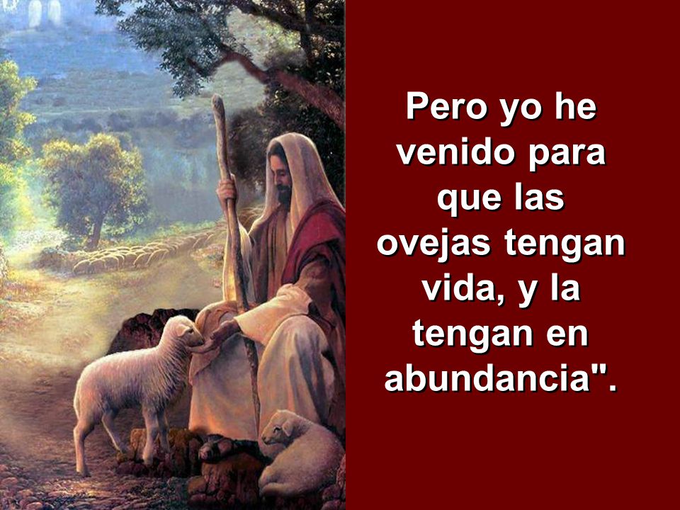Pero yo he venido para que las ovejas tengan vida, y la tengan en abundancia .