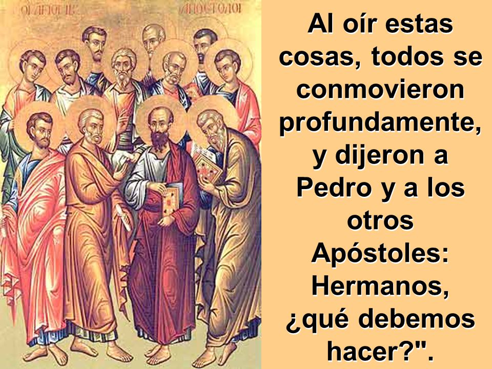 Al oír estas cosas, todos se conmovieron profundamente, y dijeron a Pedro y a los otros Apóstoles: Hermanos, ¿qué debemos hacer .