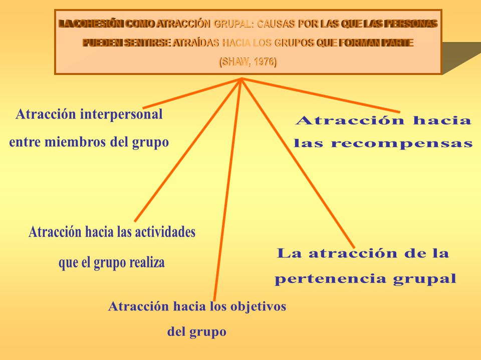 LA COHESIÓN COMO ATRACCIÓN GRUPAL: CAUSAS POR LAS QUE LAS PERSONAS