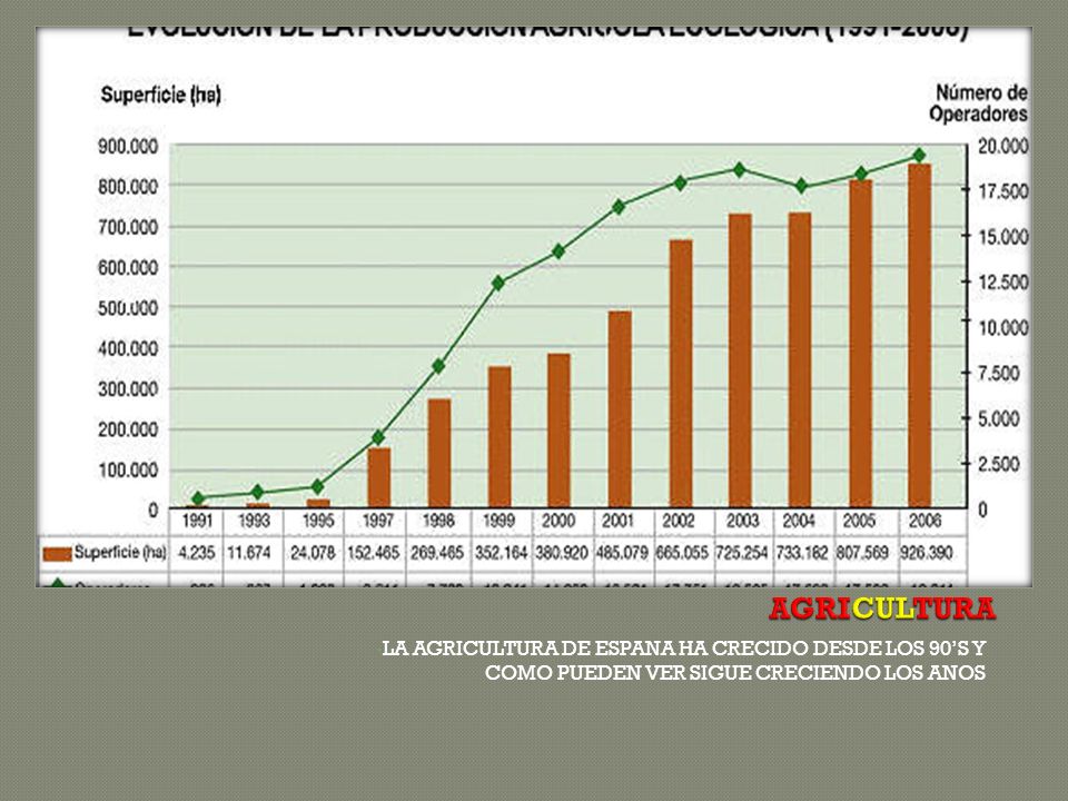 AGRICULTURA LA AGRICULTURA DE ESPANA HA CRECIDO DESDE LOS 90’S Y COMO PUEDEN VER SIGUE CRECIENDO LOS ANOS.