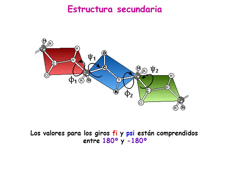 Los valores para los giros fi y psi están comprendidos