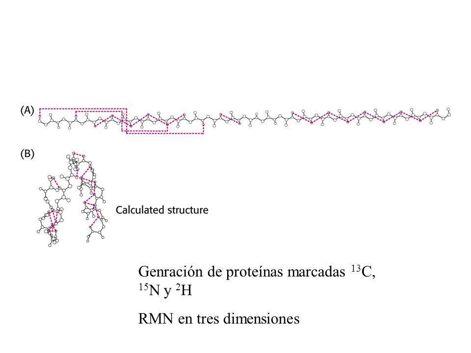 Genración de proteínas marcadas 13C, 15N y 2H