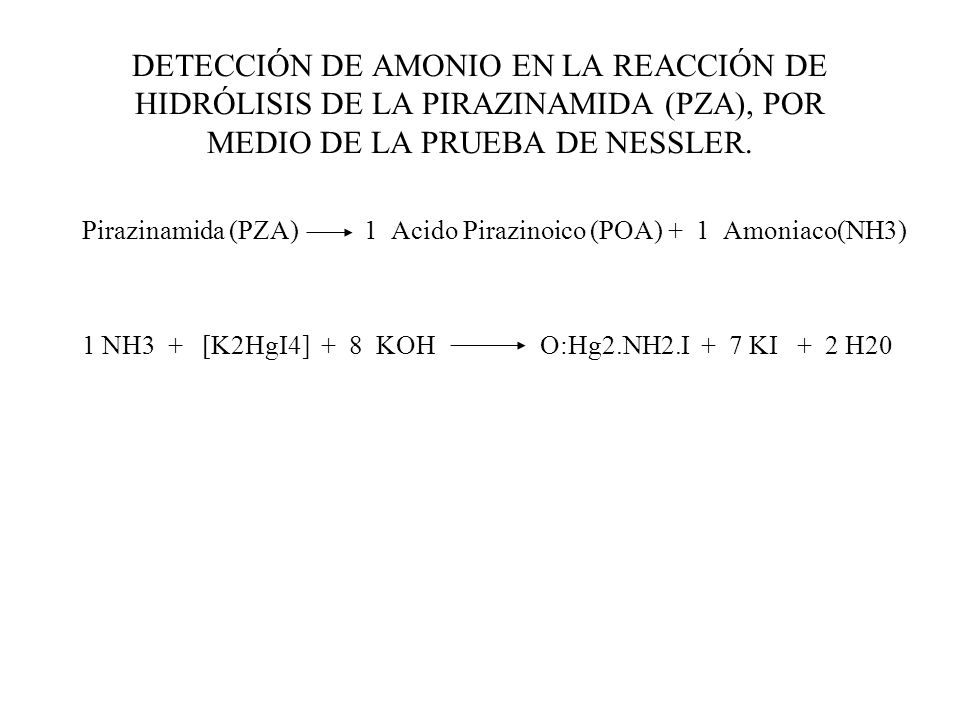 DETECCIÓN DE AMONIO EN LA REACCIÓN DE HIDRÓLISIS DE LA PIRAZINAMIDA (PZA), POR MEDIO DE LA PRUEBA DE NESSLER.