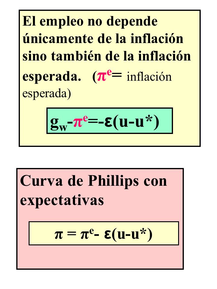 gw-πe=-ε(u-u*) Curva de Phillips con expectativas π = πe- ε(u-u*)