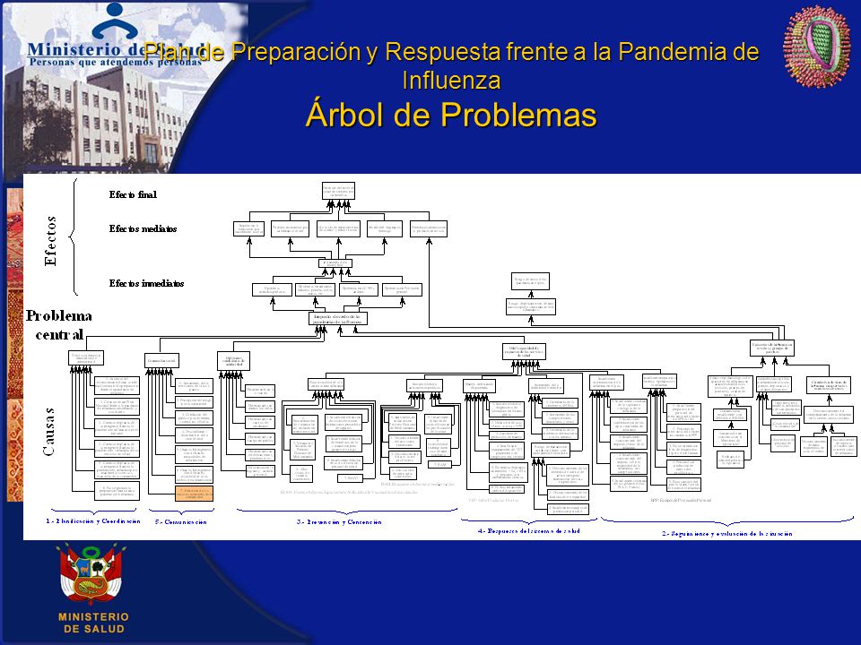 Plan de Preparación y Respuesta frente a la Pandemia de Influenza Árbol de Problemas