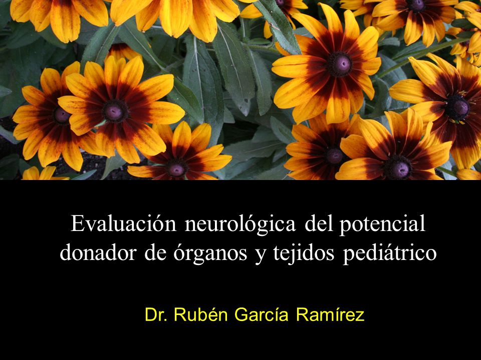 Evaluación neurológica del potencial donador de órganos y tejidos pediátrico