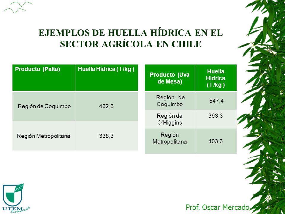 EJEMPLOS DE HUELLA HÍDRICA EN EL SECTOR AGRÍCOLA EN CHILE
