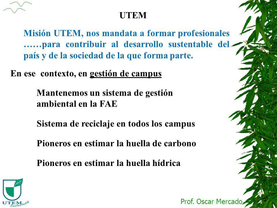 UTEM Misión UTEM, nos mandata a formar profesionales ……para contribuir al desarrollo sustentable del país y de la sociedad de la que forma parte.
