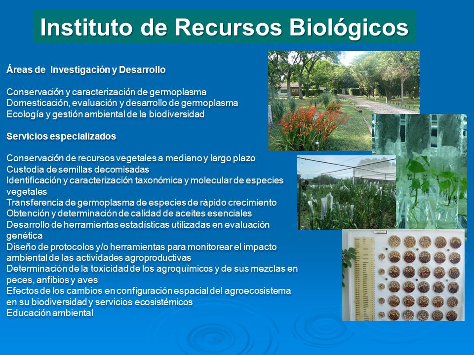 Instituto de Recursos Biológicos
