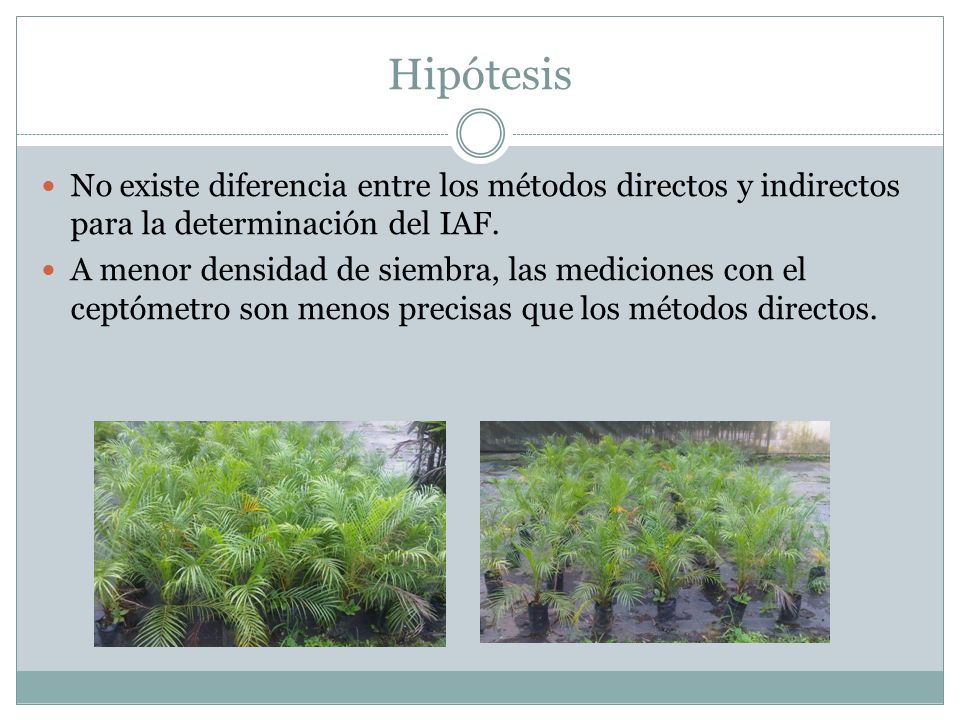 Hipótesis No existe diferencia entre los métodos directos y indirectos para la determinación del IAF.