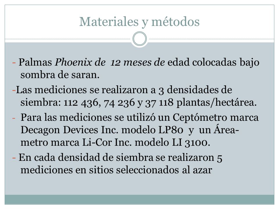 Materiales y métodos - Palmas Phoenix de 12 meses de edad colocadas bajo sombra de saran.