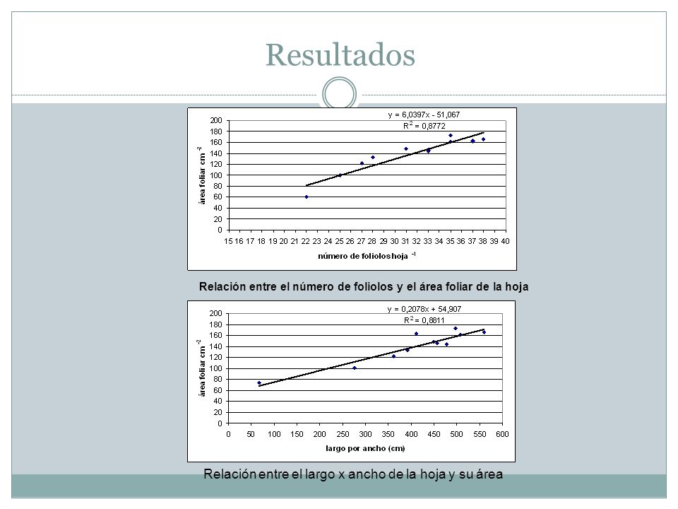 Resultados Relación entre el largo x ancho de la hoja y su área