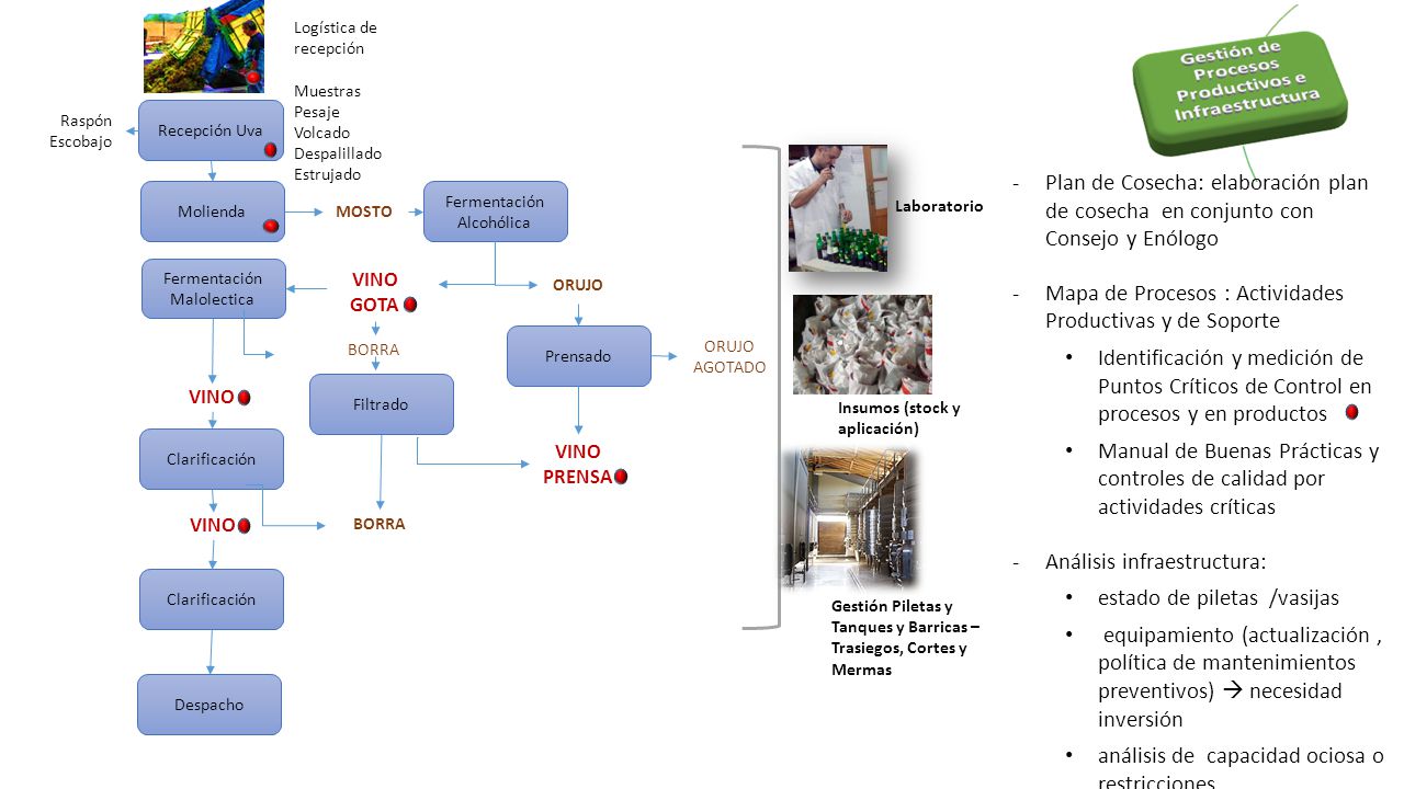 Mapa de Procesos : Actividades Productivas y de Soporte