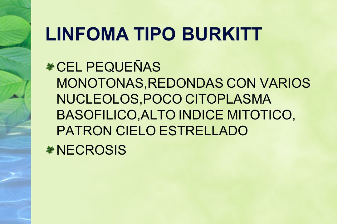 LINFOMA TIPO BURKITT CEL PEQUEÑAS MONOTONAS,REDONDAS CON VARIOS NUCLEOLOS,POCO CITOPLASMA BASOFILICO,ALTO INDICE MITOTICO, PATRON CIELO ESTRELLADO.