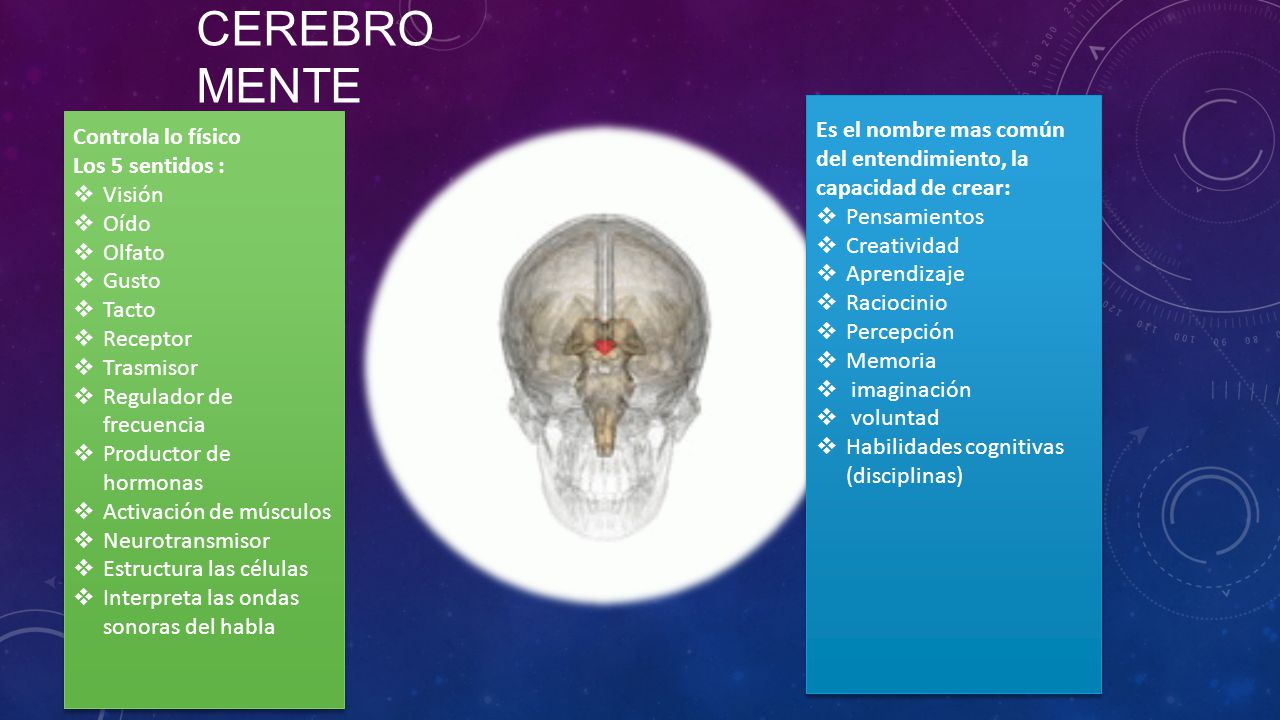Cerebro mente Es el nombre mas común del entendimiento, la capacidad de crear: