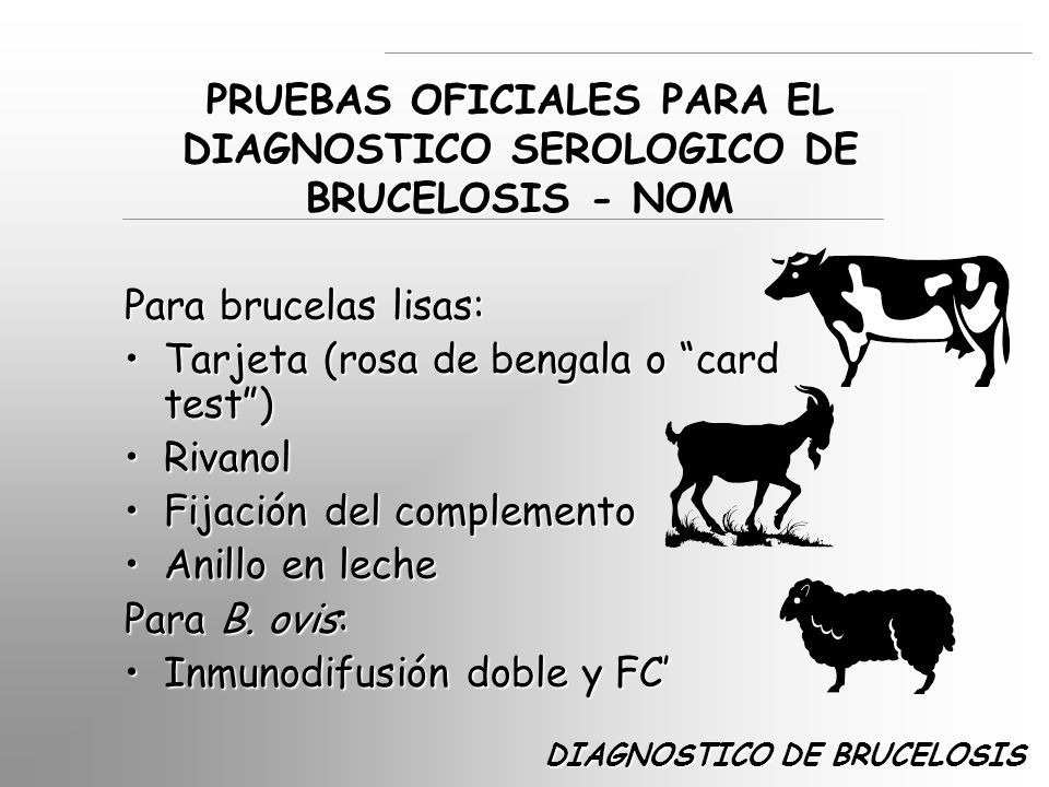 PRUEBAS OFICIALES PARA EL DIAGNOSTICO SEROLOGICO DE BRUCELOSIS - NOM