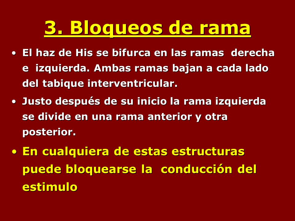 3. Bloqueos de rama El haz de His se bifurca en las ramas derecha e izquierda. Ambas ramas bajan a cada lado del tabique interventricular.