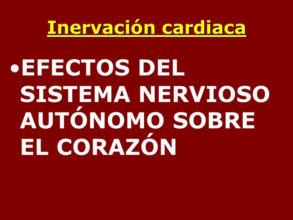 EFECTOS DEL SISTEMA NERVIOSO AUTÓNOMO SOBRE EL CORAZÓN