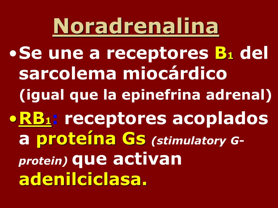 Noradrenalina Se une a receptores B1 del sarcolema miocárdico (igual que la epinefrina adrenal)