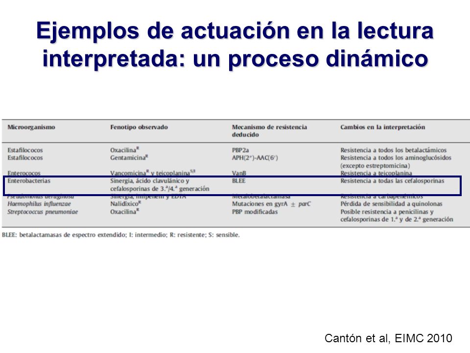 Ejemplos de actuación en la lectura interpretada: un proceso dinámico