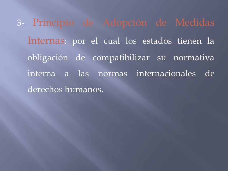 3- Principio de Adopción de Medidas Internas: por el cual los estados tienen la obligación de compatibilizar su normativa interna a las normas internacionales de derechos humanos.