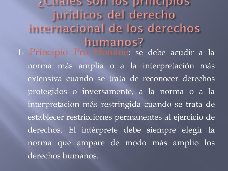 ¿Cuáles son los principios jurídicos del derecho internacional de los derechos humanos