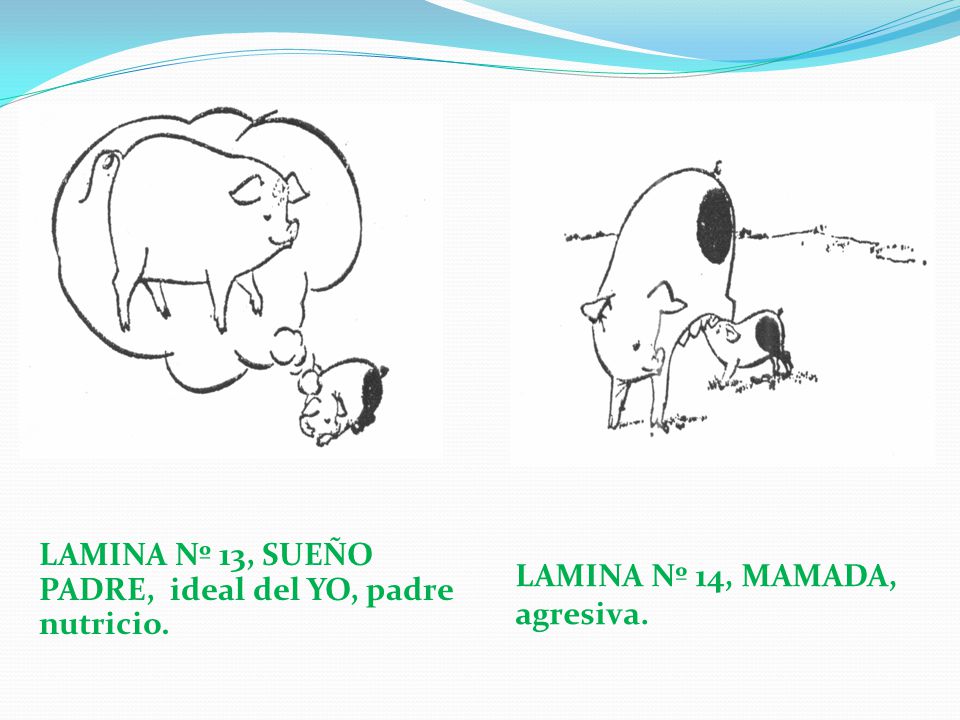 LAMINA Nº 13, SUEÑO PADRE, ideal del YO, padre nutricio.