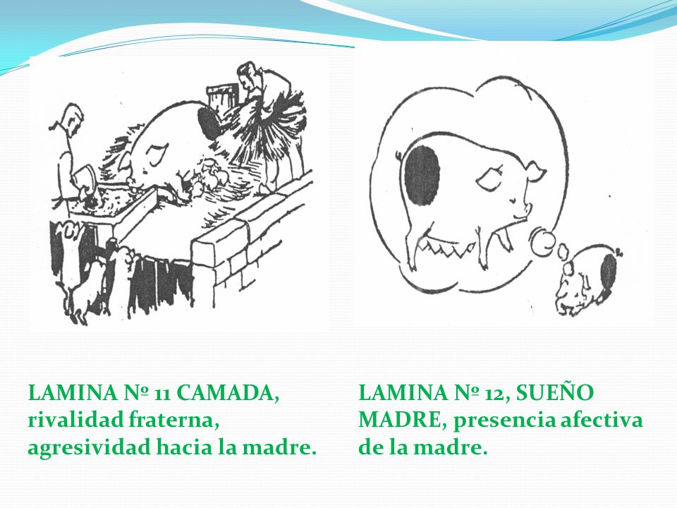 LAMINA Nº 11 CAMADA, rivalidad fraterna, agresividad hacia la madre.