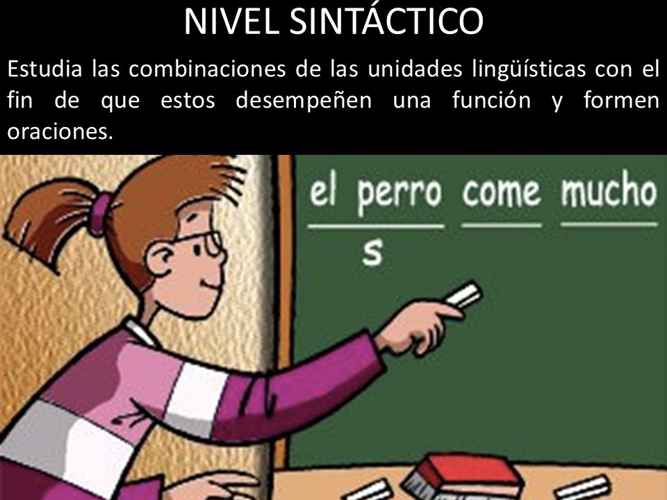 NIVEL SINTÁCTICO Estudia las combinaciones de las unidades lingüísticas con el fin de que estos desempeñen una función y formen oraciones.