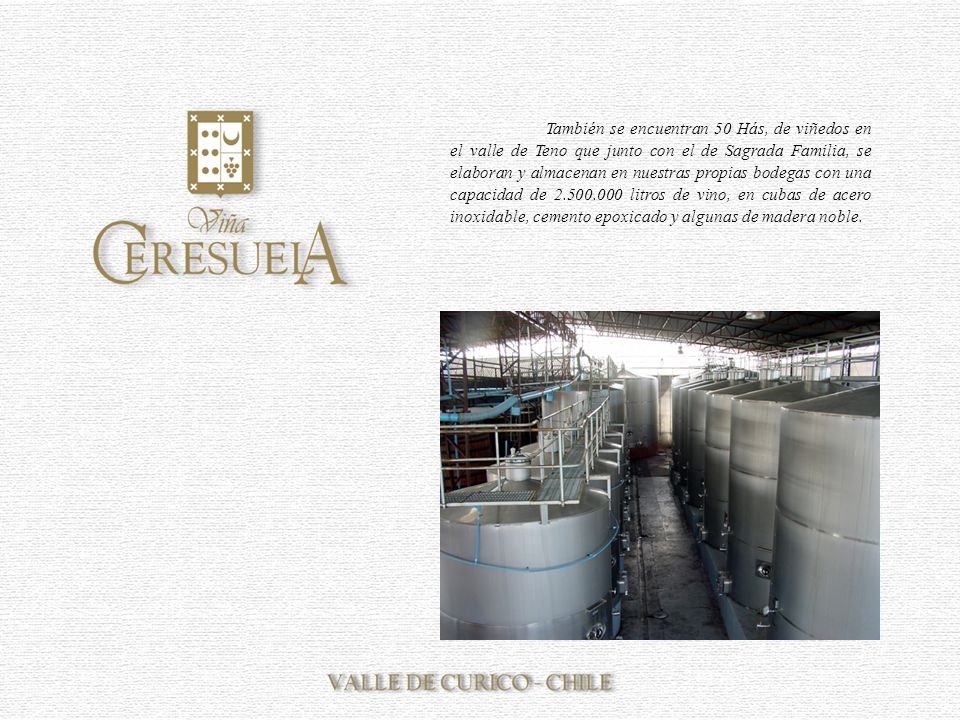 También se encuentran 50 Hás, de viñedos en el valle de Teno que junto con el de Sagrada Familia, se elaboran y almacenan en nuestras propias bodegas con una capacidad de litros de vino, en cubas de acero inoxidable, cemento epoxicado y algunas de madera noble.
