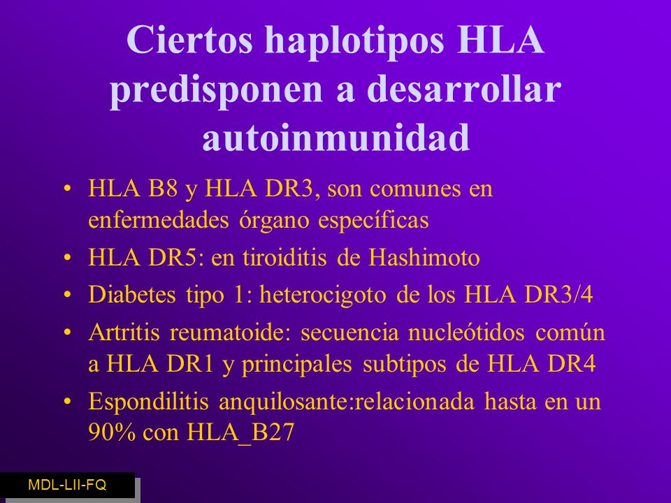 Ciertos haplotipos HLA predisponen a desarrollar autoinmunidad