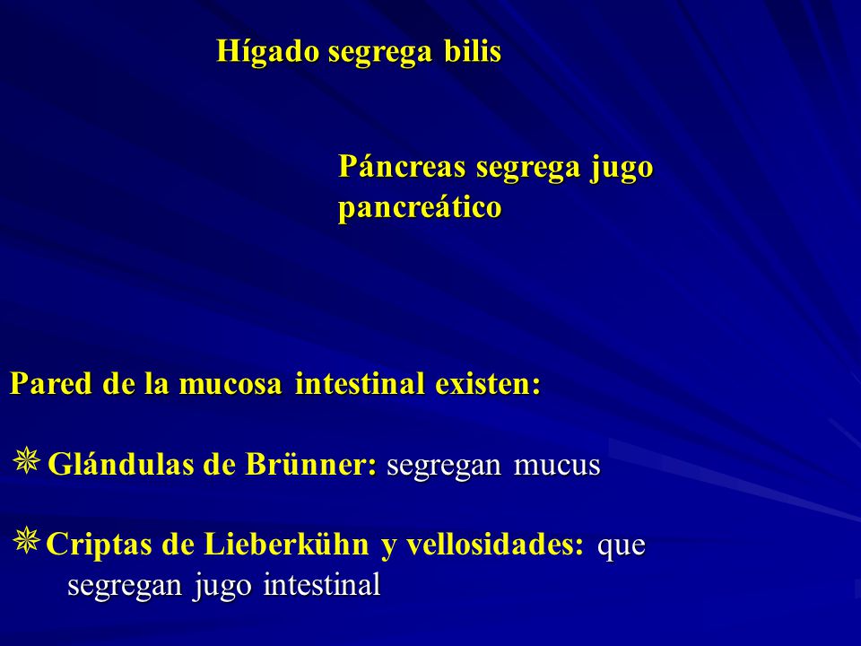 Hígado segrega bilis Páncreas segrega jugo pancreático. Pared de la mucosa intestinal existen: Glándulas de Brünner: segregan mucus.